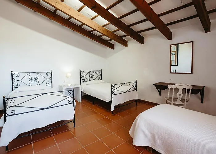 Vakantieboerderij Son Triay *