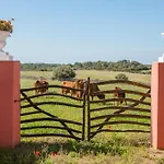 Son Triay Farmház Ferreries