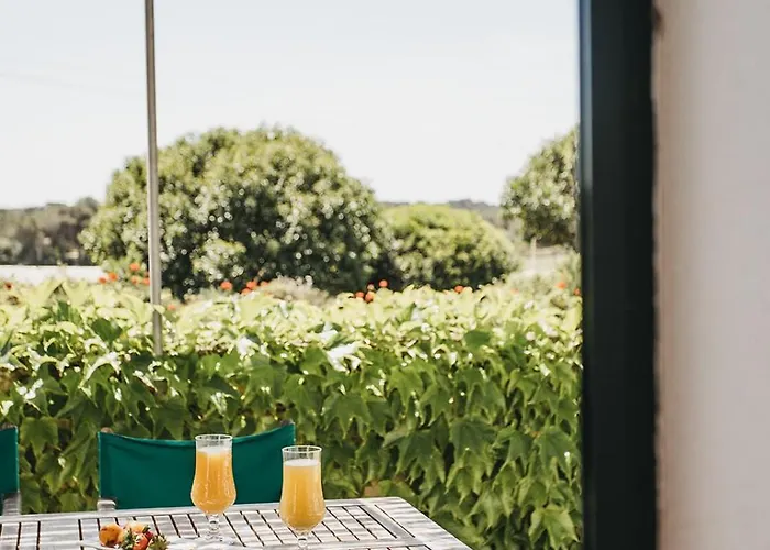 Son Triay Feriegård *